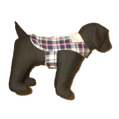 blue plaid coat - model blue plaid coat - model