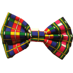 Bow Tie