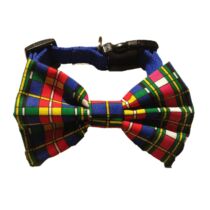 bowtie 3 – collar