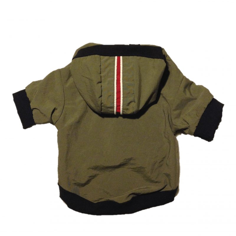 Windbreaker Jacket
