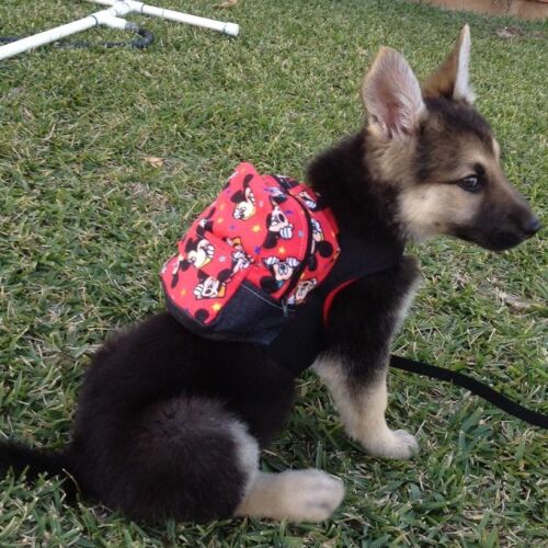 barkpack model 5 barkpack model 5