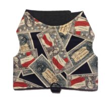 Dollar Bill Reversible Harness