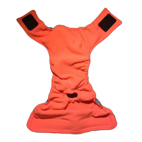 blue blossom diaper - full back blue blossom diaper - full back