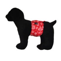 cupid heart belly band – model 1