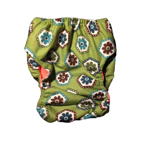 green daisy diaper - back green daisy diaper - back
