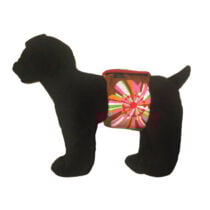 hibiscus sherbert belly band – model 1