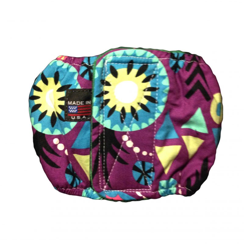 Kiwi  Dog Belly Band