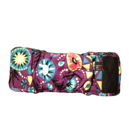 kiwi belly band - full kiwi belly band - full