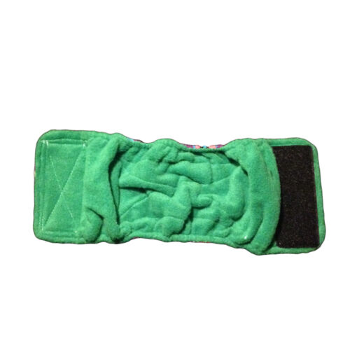 kiwi belly band - full back kiwi belly band - full back