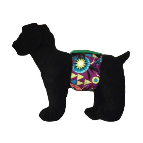 kiwi belly band - model 1 kiwi belly band - model 1