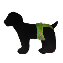 paisley diaper – model 1