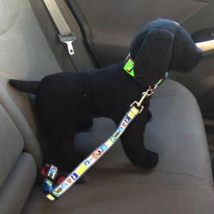 Social Media Adjustable Car Safety Belt for Dogs