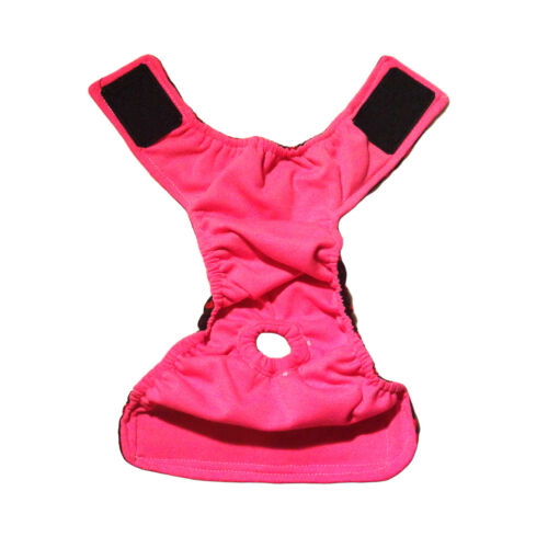 sweet kisses diaper - full back sweet kisses diaper - full back