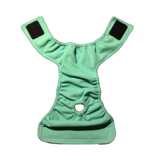 teal paisley diaper - full back teal paisley diaper - full back