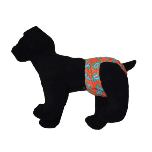 teal paisley diaper - model 1 teal paisley diaper - model 1