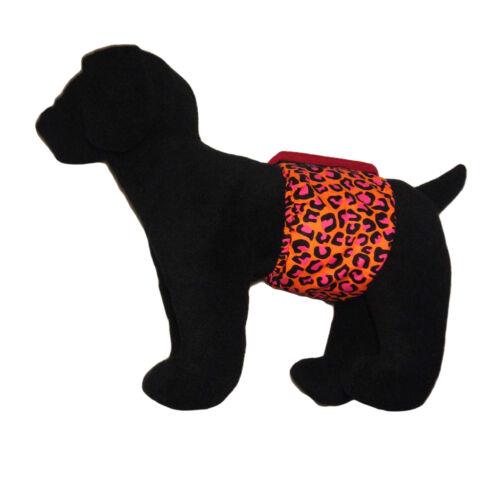 orange hot pink belly band - model 1 orange hot pink belly band - model 1