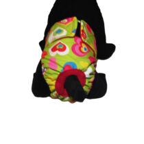 sweet heart on green diaper – model 2