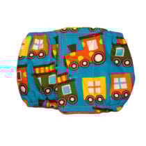 Choo Choo Train  Dog Belly Band