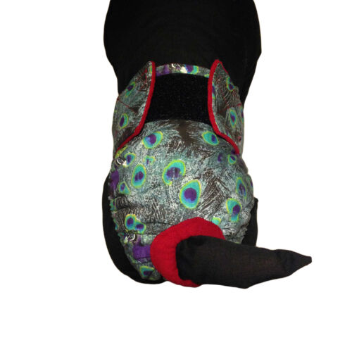 peacock diaper - model 2 peacock diaper - model 2