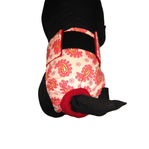 pink paisley diaper - model 2 pink paisley diaper - model 2