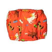 Playful Dog  Dog Belly Band