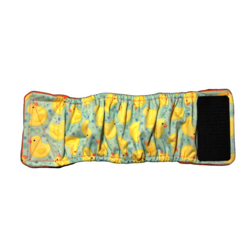 pul duckie belly band - full pul duckie belly band - full