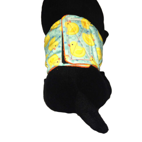 pul duckie belly band - model 2 pul duckie belly band - model 2