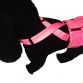 solid pink diaper suspender - model 2