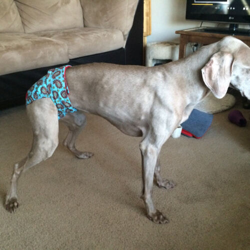 teal paisley diaper - customer 2 teal paisley diaper - customer 2