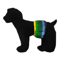 pride rainbow belly band – model 1