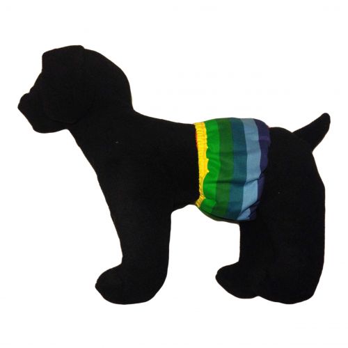 pride rainbow belly band - model 1