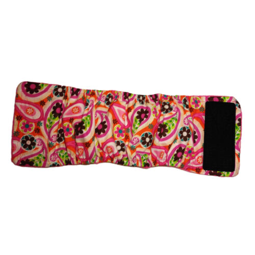 pink paisley on orange belly band - full pink paisley on orange belly band - full