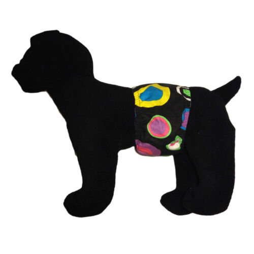 splendid color circle dot belly band - model 1 splendid color circle dot belly band - model 1