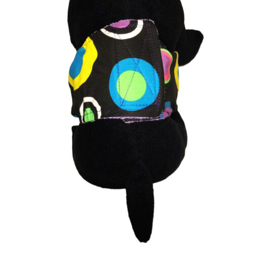 splendid color circle dot belly band - model 2 splendid color circle dot belly band - model 2