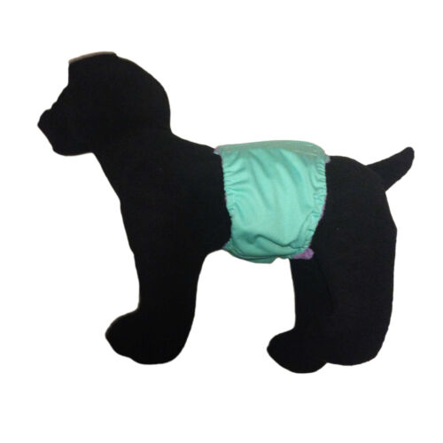 teal PUL belly band - model 1 teal PUL belly band - model 1