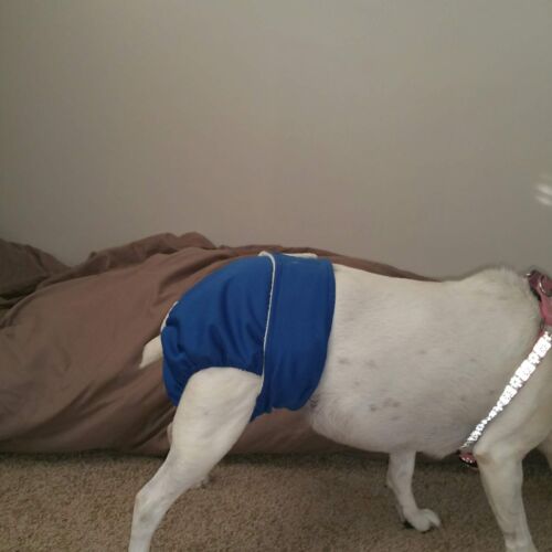 20151211_132658_resized 20151211_132658_resized