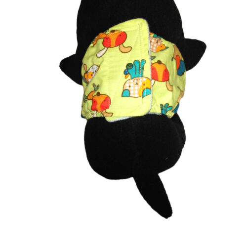 funky dog on green belly band - model 2 funky dog on green belly band - model 2