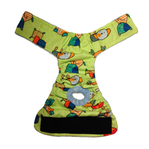 funky dog on green - full funky dog on green - full