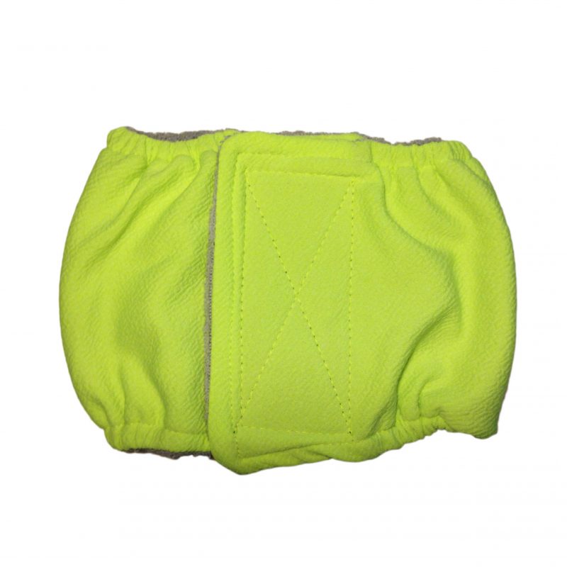 Neon Green  Dog Belly Band