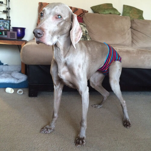 stripes on black - customer 2 stripes on black - customer 2