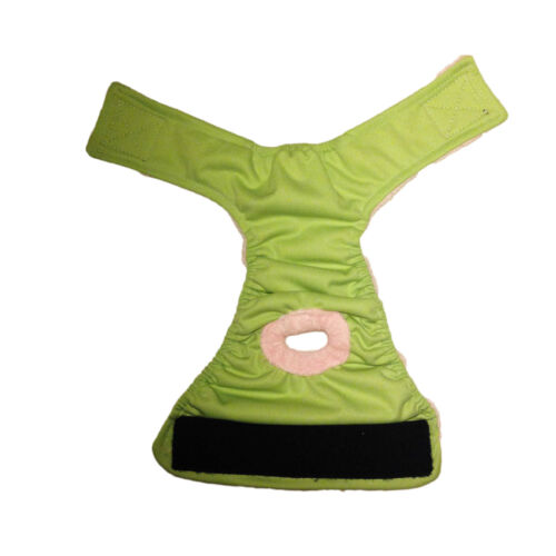 teal pul diaper - full teal pul diaper - full