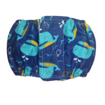 Blue Whale  Dog Belly Band