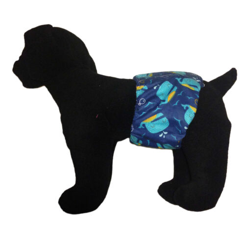 blue whale belly band - model 1 blue whale belly band - model 1