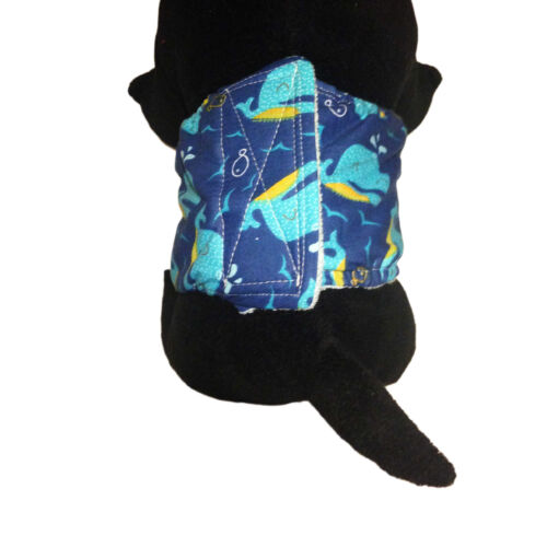 blue whale belly band - model 2 blue whale belly band - model 2