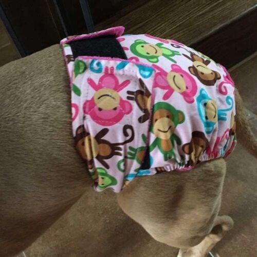 happy monkey doggie diaper - review happy monkey doggie diaper - review