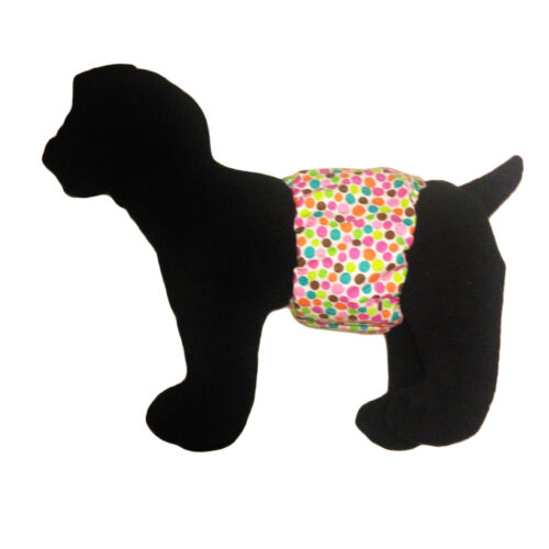 colorful polka dot on white belly band - model 1 colorful polka dot on white belly band - model 1