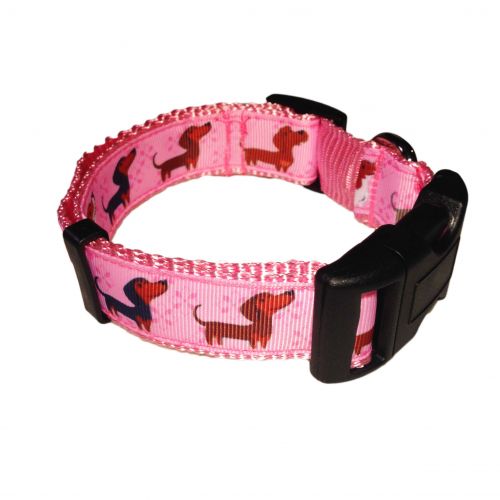 cute doggie on pink collar