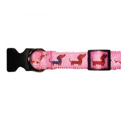Cute Doggie on Pink Dog Collar