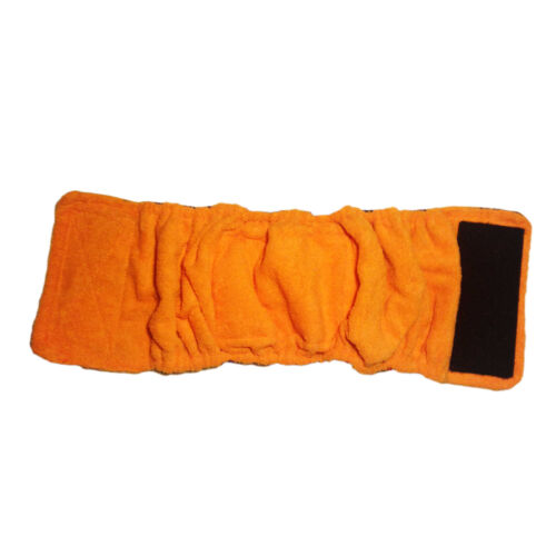 orange belly band backing orange belly band backing