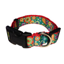 Paisley Flower on Green Dog Collar